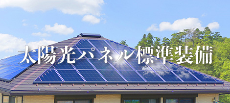 太陽光パネル標準装備